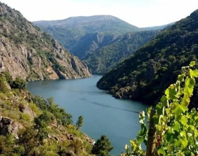 Piso Ribeira Sacra * Монфорте-де-Лемос